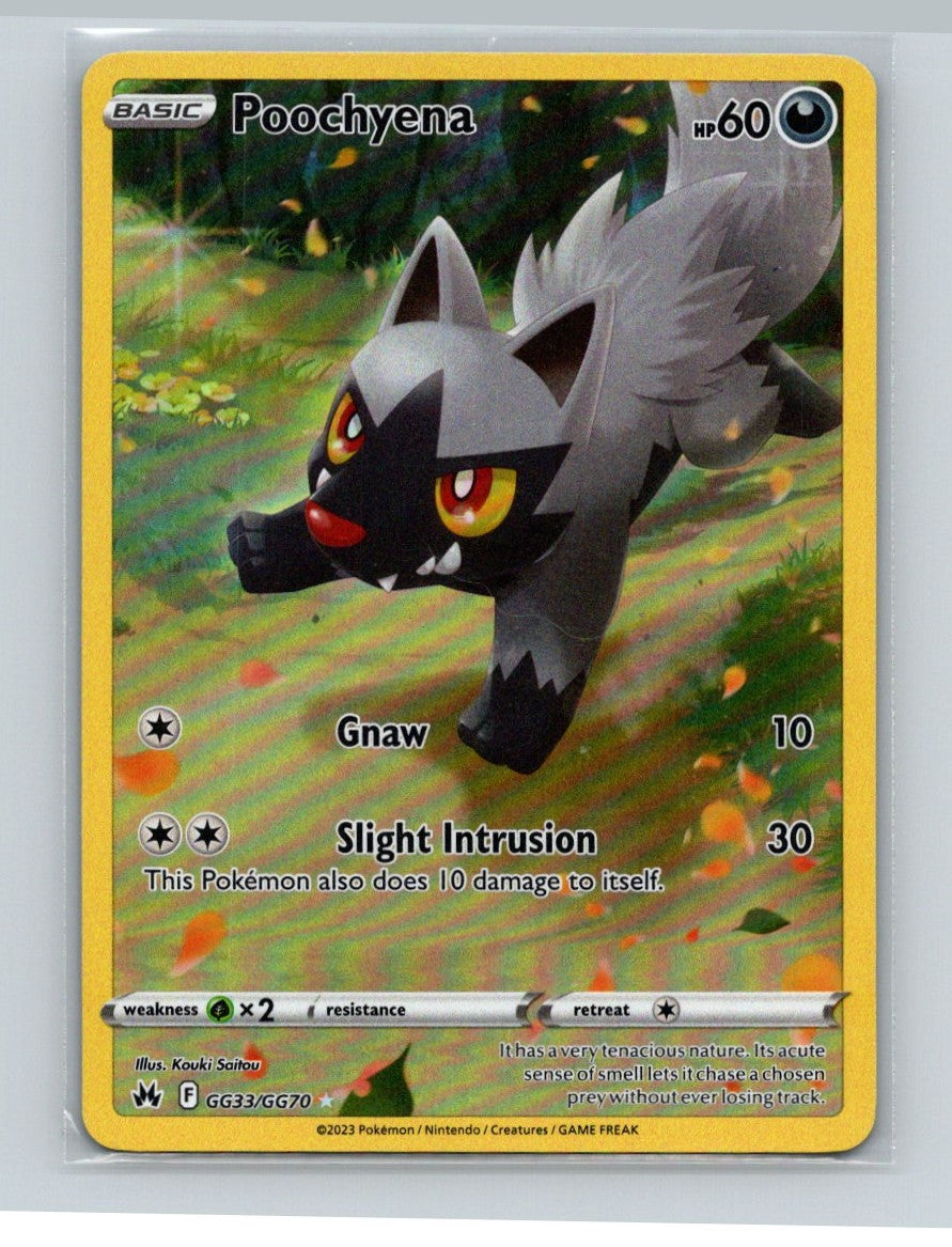 Poochyena Holo Ultra Rare SWSH: Crown Zenith: Galarian Gallery GG33/GG70 NM